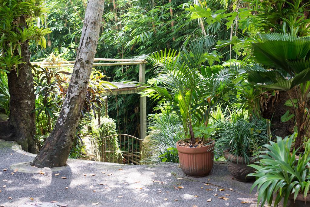 Serenity House Hotel Ubud  Exterior photo